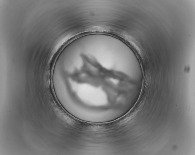 X0000091581075200709051055