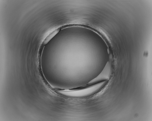 X0000091581077200709051055