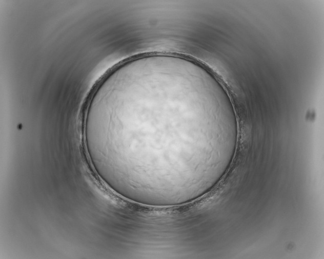 X0000091581078200709051055