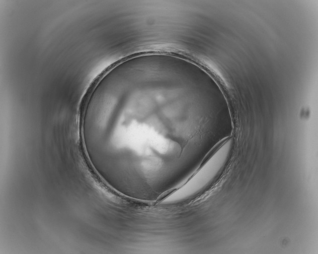 X0000091581079200709051055