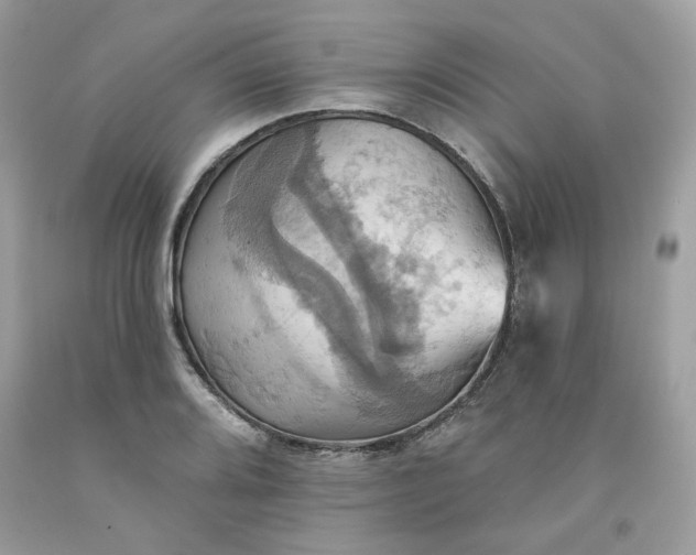 X0000091581080200709051055