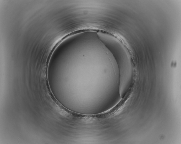 X0000091581081200709051055