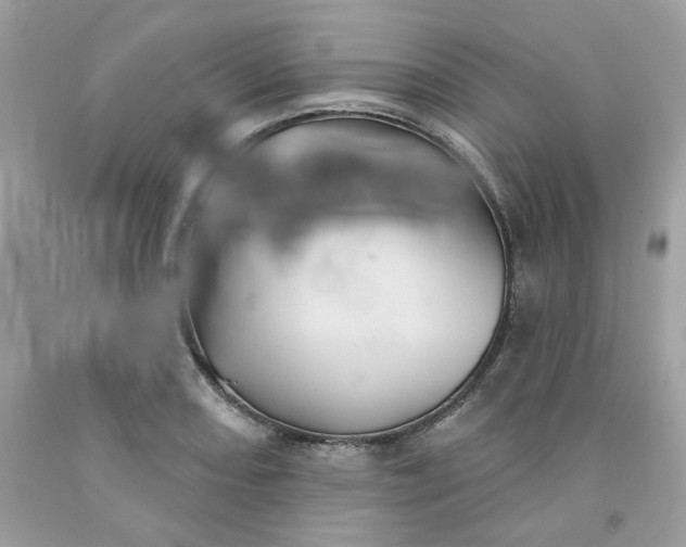 X0000091581082200709051055