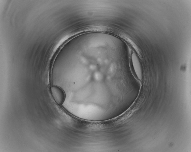 X0000091581083200709051055