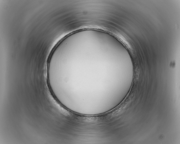 X0000091581084200709051055