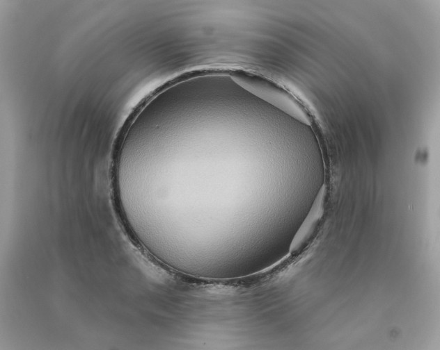 X0000091581085200709051055