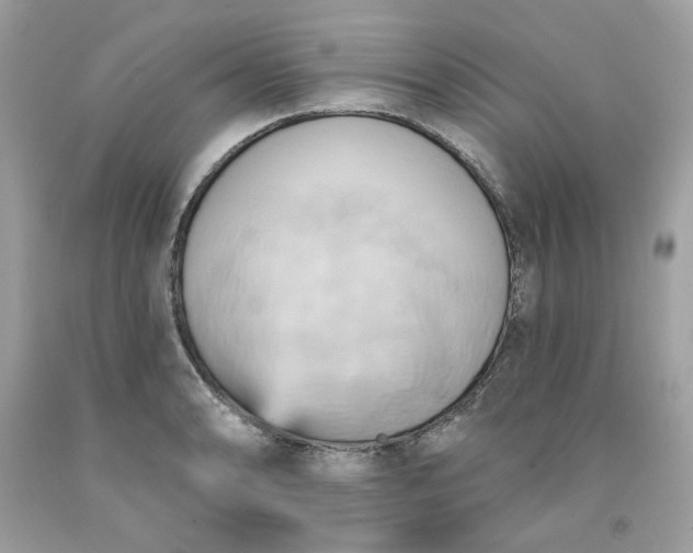 X0000091581086200709051055