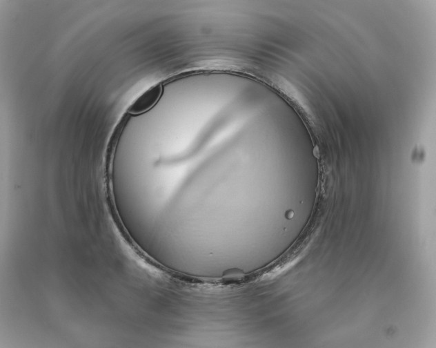 X0000091581087200709051055