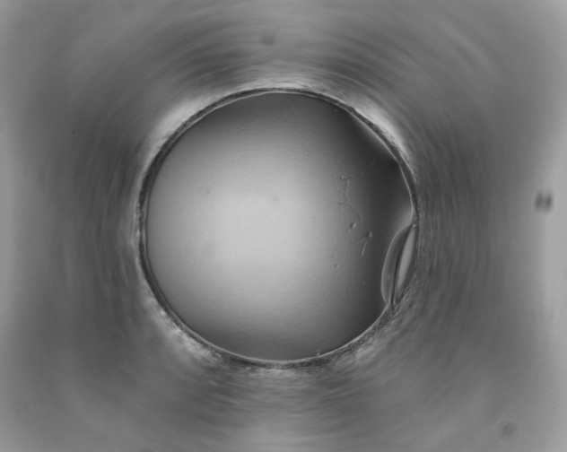 X0000091581088200709051055