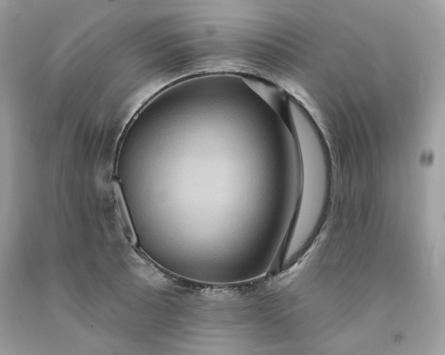 X0000091581089200709051055