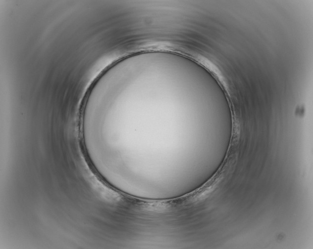 X0000091581090200709051055