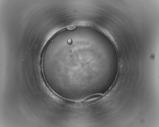 X0000091581091200709051055