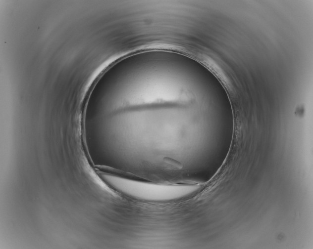 X0000091581092200709051055