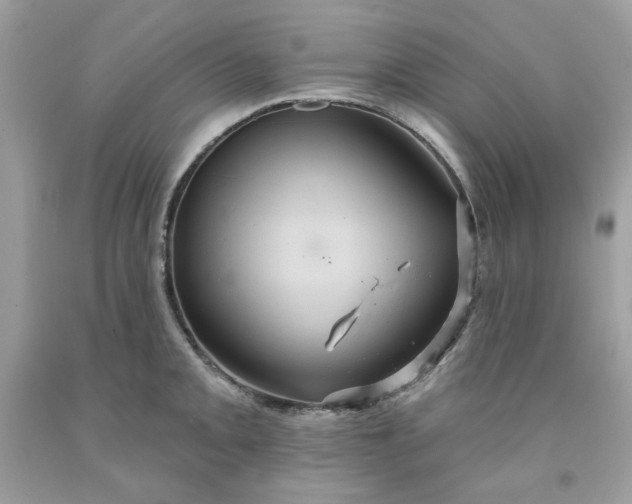 X0000091581093200709051055