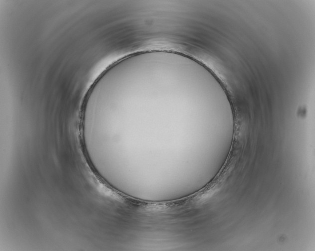 X0000091581094200709051055