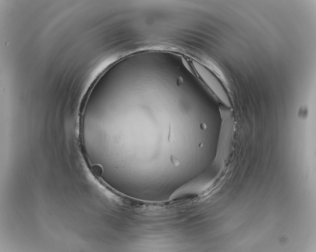 X0000091581095200709051055