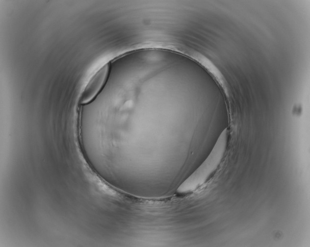 X0000091581096200709051055