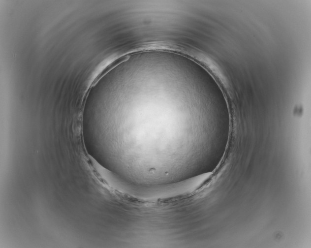 X0000091581097200709051055