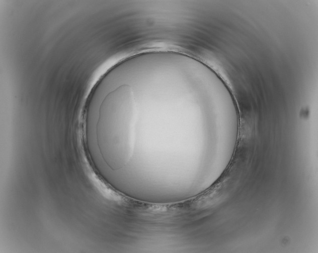 X0000091581098200709051055