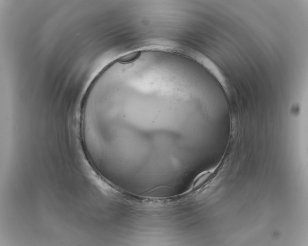 X0000091581099200709051055