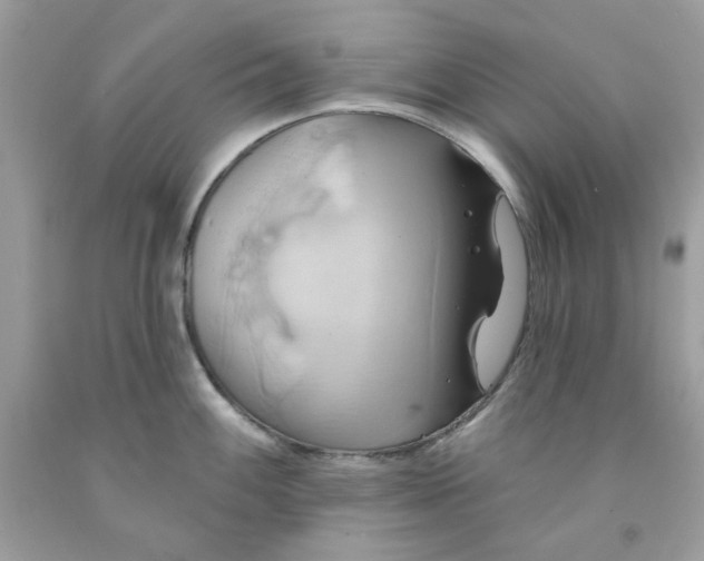 X0000091581100200709051055