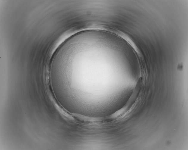 X0000091581101200709051055