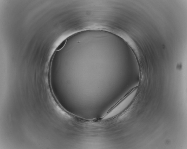 X0000091581102200709051055