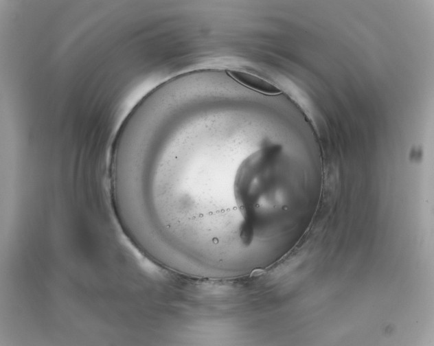 X0000091581103200709051055