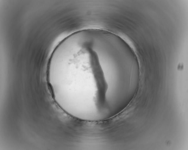 X0000091581104200709051055