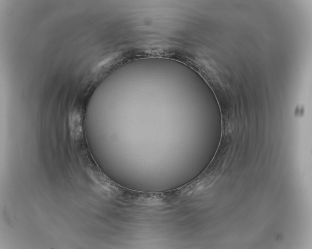 X0000091581106200709051054