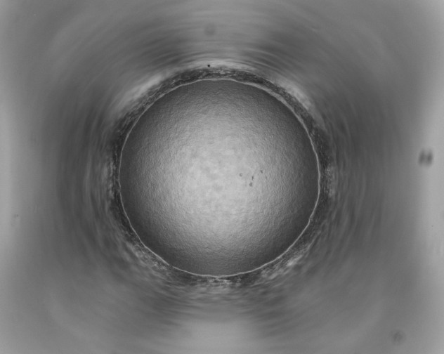 X0000091581111200709051054