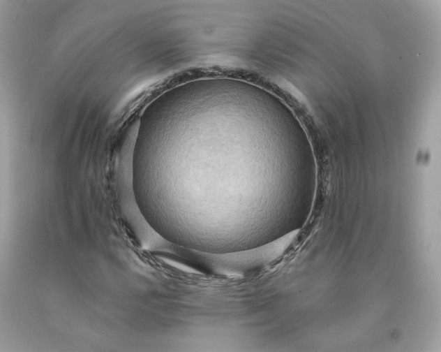 X0000091581112200709051054