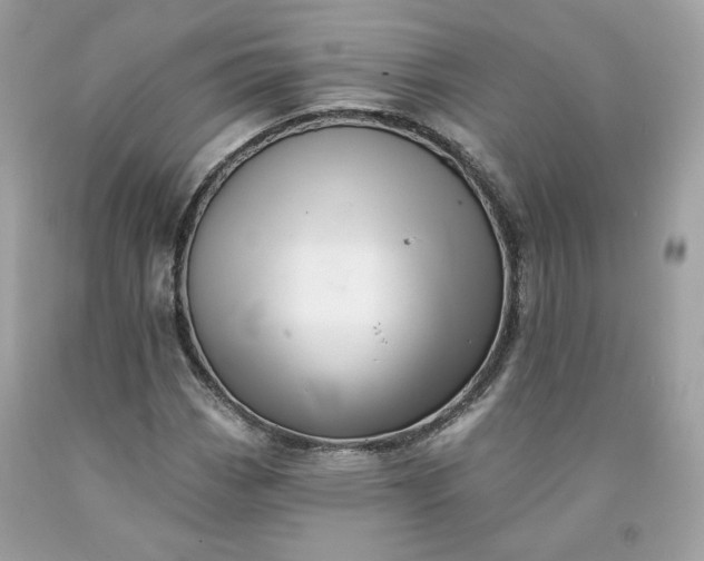 X0000091581113200709051054