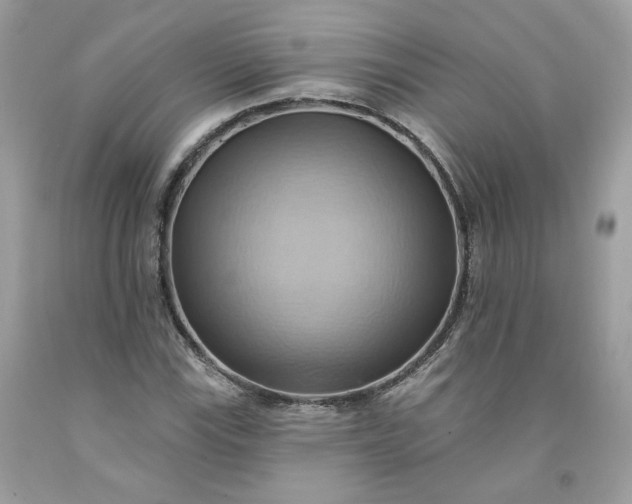 X0000091581115200709051054