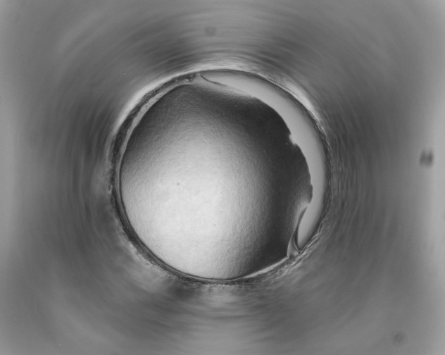 X0000091581116200709051054