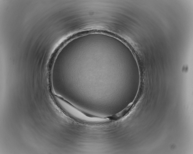 X0000091581118200709051054