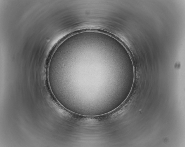 X0000091581119200709051055