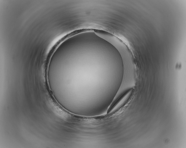 X0000091581120200709051055