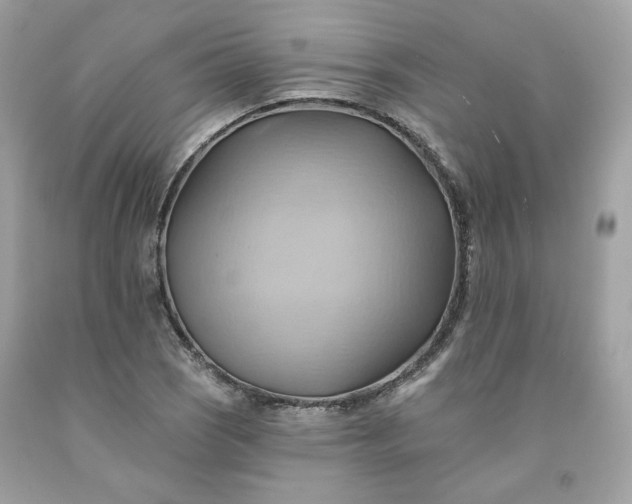 X0000091581121200709051055