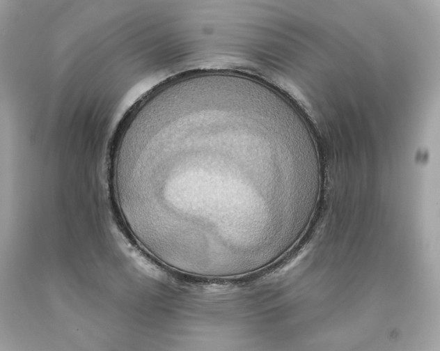 X0000091581122200709051055