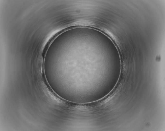 X0000091581123200709051055