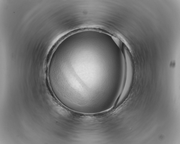 X0000091581124200709051055