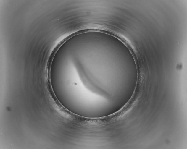 X0000091581125200709051055