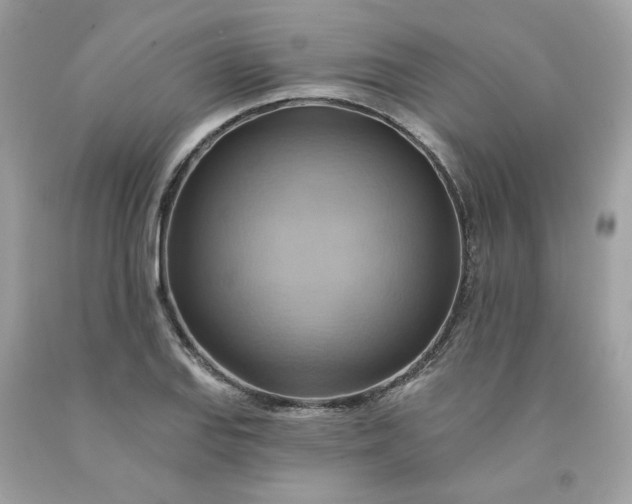 X0000091581127200709051055