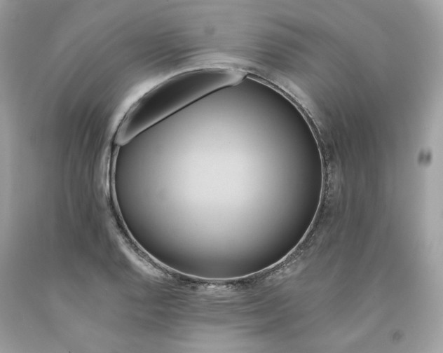 X0000091581128200709051055