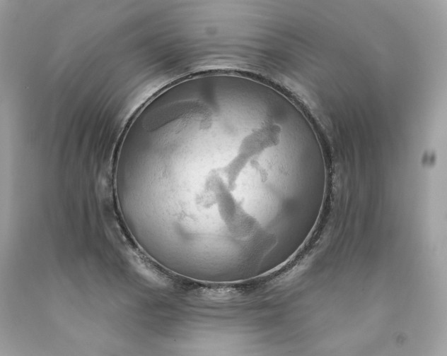 X0000091581129200709051055