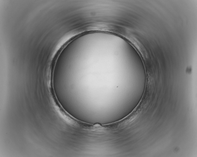 X0000091581131200709051055