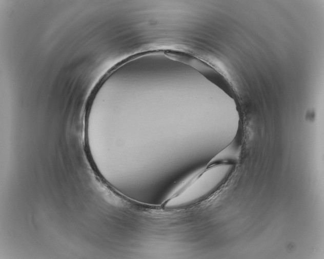 X0000091581132200709051055