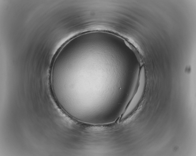 X0000091581134200709051055