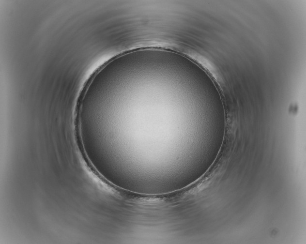 X0000091581135200709051055